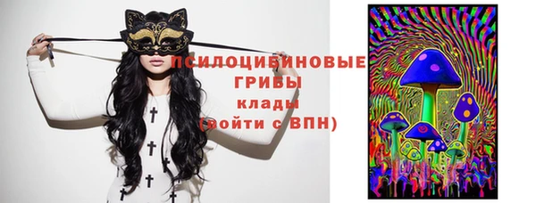 а пвп мука Алзамай