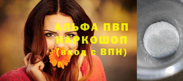 стаф Алексин