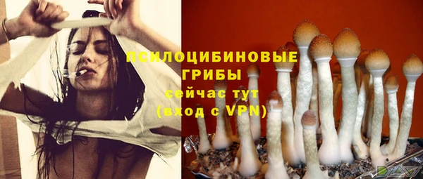 индика Нефтекумск