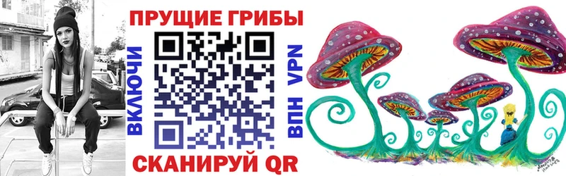 дарк нет как зайти  мега как войти  Крым  Псилоцибиновые грибы Psilocybe 