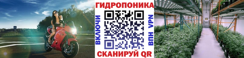 hydra вход  сколько стоит  Крым  Конопля ГИДРОПОН 